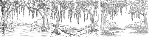 Modern illustration of a black and white landscape sketch featuring jungle forest graphic art