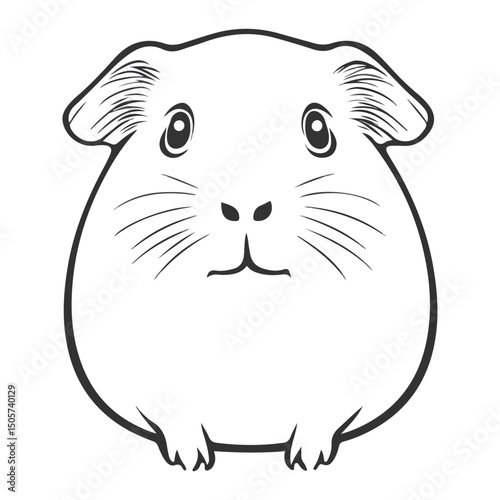 guinea pig, animal, vector, transparent background, mammal, nature, cute, zoo, pet, isolated, rodent, cavy, furry, guinea-pig, cavia, adorable, small, fluffy