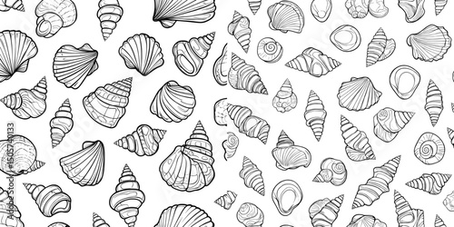 The background consists of a modern seamless pattern of hand-drawn black sea shells, forming a seashells texture
