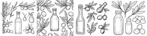 The Olive Collection features a range of line art vintage drawings with a modern illustration twist