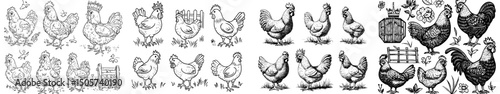 A modern illustration of a rooster in a cocked position is depicted in a line art sketch engraving style, suitable for a t-shirt apparel print design, with a scratch board imitation effect, presented