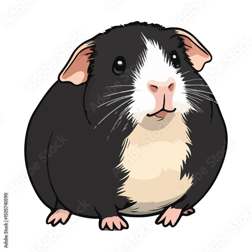 guinea pig, animal, vector, transparent background, mammal, nature, cute, zoo, pet, isolated, rodent, cavy, furry, guinea-pig, cavia, adorable, small, fluffy