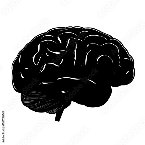 A clean and simple illustration, the Human Brain Icon is a bold, black and white representation of a human brain, perfect for symbolizing intelligence, intellect, neurology, psychology, and cognitive