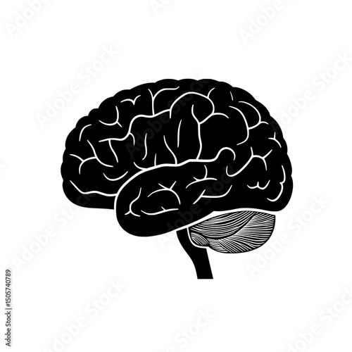The Human Brain Icon is a straightforward yet potent visual representation of a human brain, shown in a crisp, black silhouette set against a transparent backdrop, ideal for symbolizing intelligence