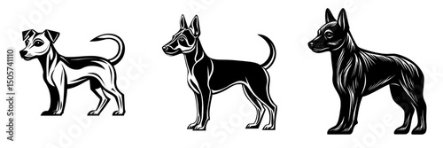 A Doberman Pinscher dog is shown standing on a white background in a black and white illustration
