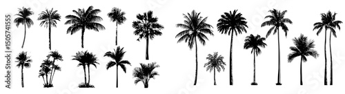 The Palm Tree Silhouettes collection offers stylized silhouettes of palm trees that perfectly capture the essence of tropical beauty and vacation