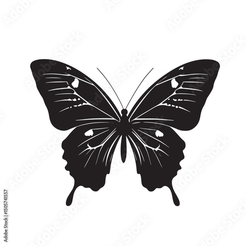 Butterfly silhouette vector illustration of a colorful swallowtail insect with bright wings isolated on white background