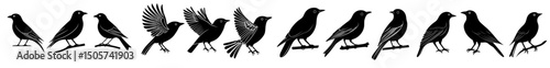 The concept of a magpie bird is represented by a graphic set silhouette, featuring a 2D icon of the bird on a black shadow template, created in a modern illustration style, with a black magpie