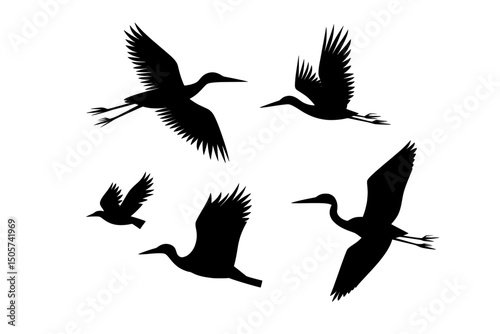 This compilation of heron silhouettes, characterized by its minimalist black and white design, illustrates the birds as they fly, fish, and rest in their natural environments