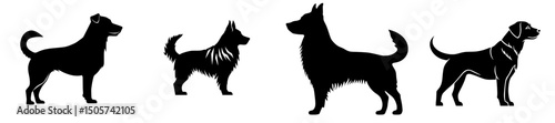 The illustration features a dog standing alert in a black and white canine breed silhouette design