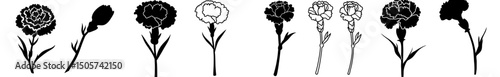 Simple carnation flower designs come in black, white, silhouette, outline, and floral styles