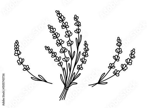 Lavender floral bouquet hand drawn flowers
