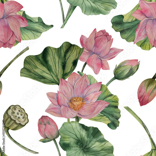 Wallpaper Mural Hand drawn lotus watercolor pattern with blooming pink flowers and green leaves. Watercolor style. Natural palette. Ideal for textile print wallpaper wrapping paper fabric surface design Torontodigital.ca