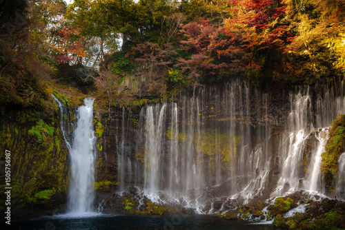 Shiraito Falls Cascading Amidst Lush Fujinomiya photo