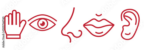 Human senses icon set. Vision eye, smell nose, hearing ear, touch hand, taste mouth with tongue. Simple line icons and black circle. Five senses of human nervous system. Vector illustration.