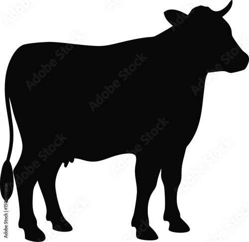 black silhouette of a cow