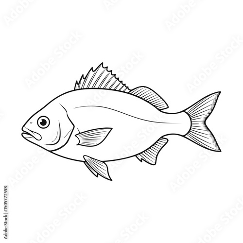 Line art fish illustration, monochrome design for seafood menus