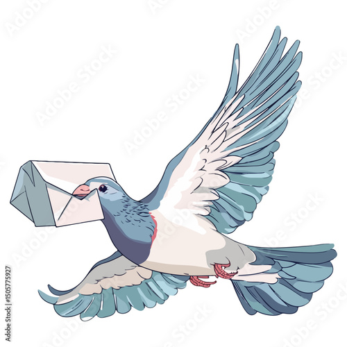 pigeon, animal, vector, transparent background, nature, wildlife, wing, dove, feather, isolated, peace, freedom, beak, symbol, wings, cute