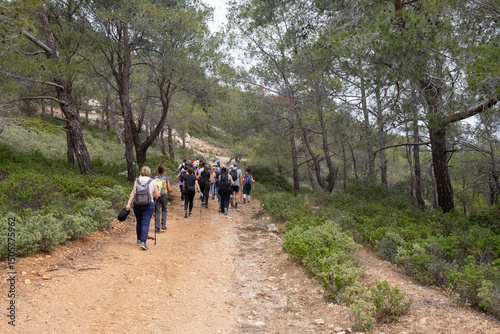 Group of hikers hiking in a nature trail. People trekking outdoors. Active healthy lifestyle photo