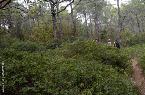 Group of hikers hiking in a nature trail. People trekking outdoors. Active healthy lifestyle photo