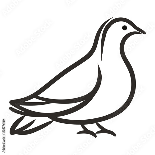 pigeon, animal, vector, transparent background, nature, wildlife, wing, dove, feather, isolated, peace, freedom, beak, symbol, wings, cute