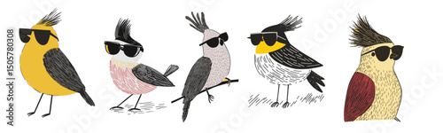 illustration set of cool summer birds wearing sunglasses