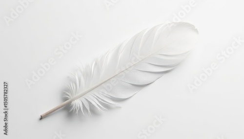 A single white feather against a pristine white background , fragile, peace, elegance