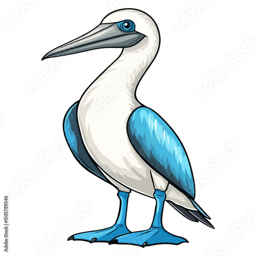blue-footed booby, animal, vector, transparent background, blue, birds, beak, feathers, feather, isolated, avian, wild, wildlife, nature, zoo, wing
