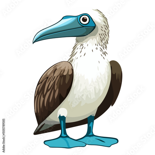 blue-footed booby, animal, vector, transparent background, blue, birds, beak, feathers, feather, isolated, avian, wild, wildlife, nature, zoo, wing