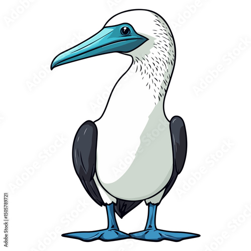 blue-footed booby, animal, vector, transparent background, blue, birds, beak, feathers, feather, isolated, avian, wild, wildlife, nature, zoo, wing