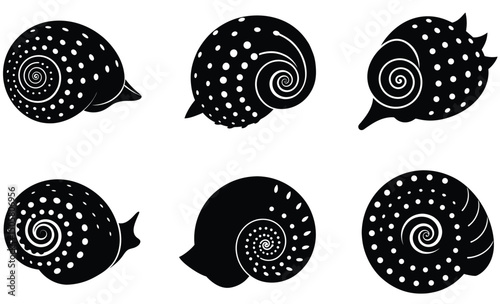 Spotted Tun Shells Silhouette Vector Set – Sea Shell Illustration with Patterned Design, Marine Coastal Nature Element, Tropical Beach Decor, and Ocean Wildlife Art