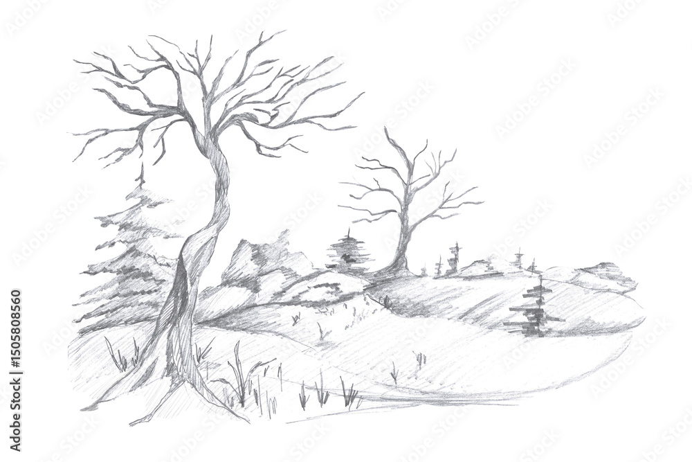 Obraz premium Forest landscape, background. Isolated pencil illustration of forest for coloring book design, greeting cards, Halloween theme parties, fabric printing, interior design.