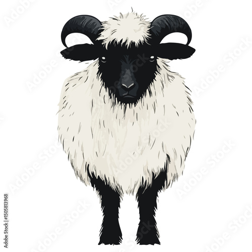 valais blacknose sheep, animal, vector, transparent background, sheep, mammal, farm, wool, nature, agriculture, livestock, grazing, cute, farm animal, pasture, rural, countryside, black, white