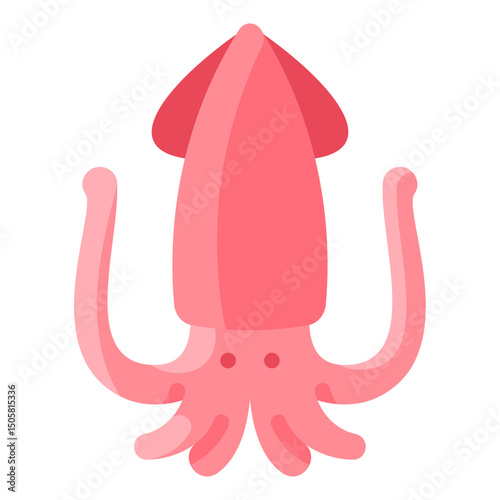 Squid