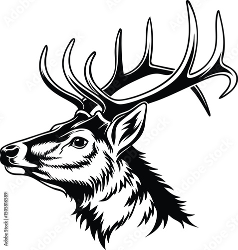 Silhouette of deer head with antlers isolated on white background.