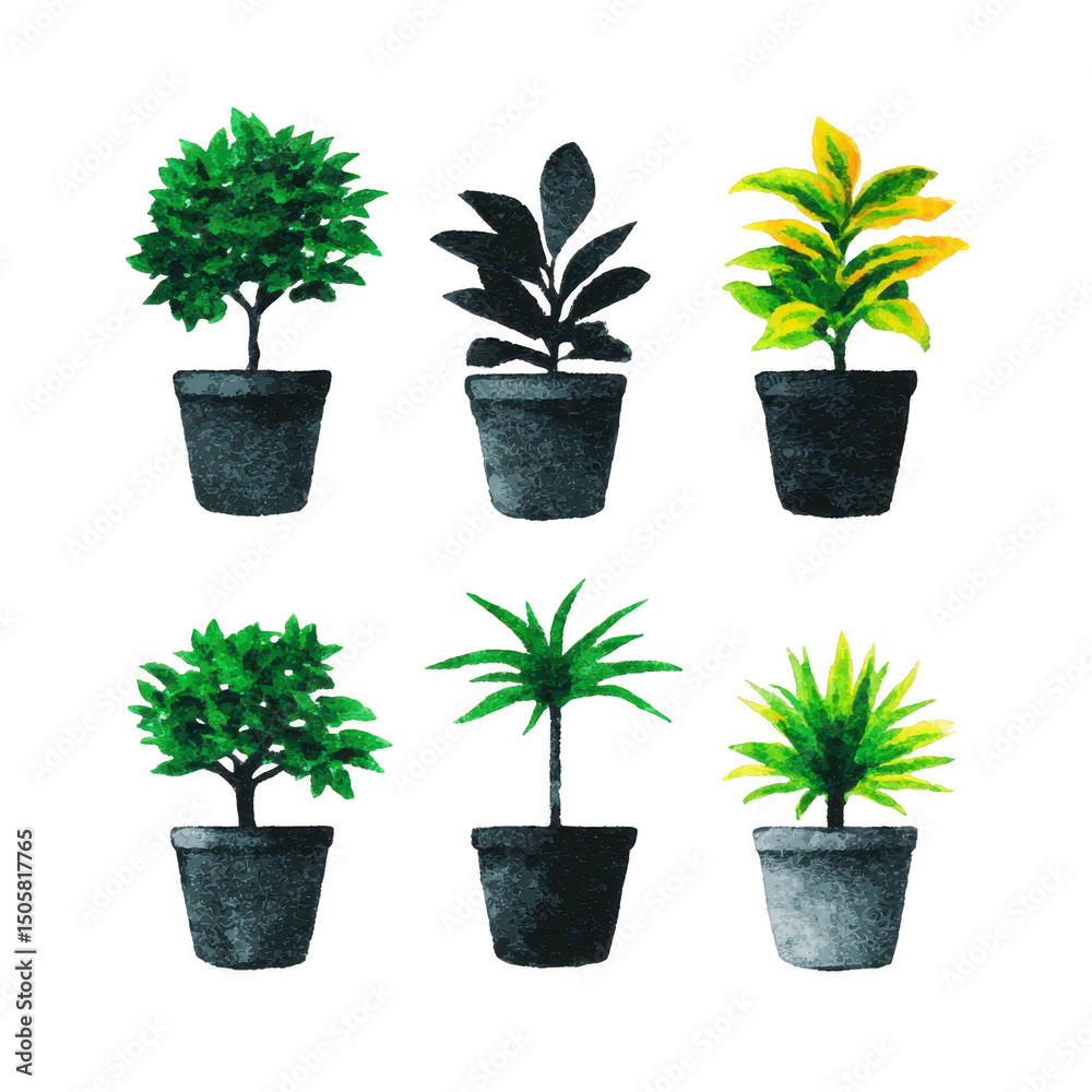 Fototapeta premium Collection of six potted plants, each with unique foliage, displayed in black pots. plants vary in leaf shape and color, creating vibrant and diverse arrangement