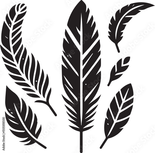 black Bird feather silhouette, vector design