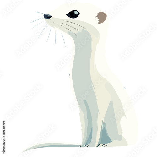 weasel, animal, vector, transparent background, mammal, rodent, cute, wildlife, wild, nature, symbol, zoo, isolated