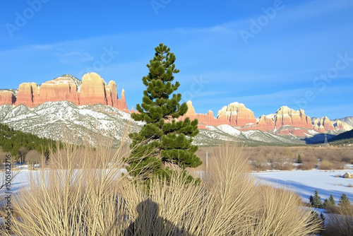 Serene winter landscape with a lone pine tree amidst snow-covered mountains and desert shrubs