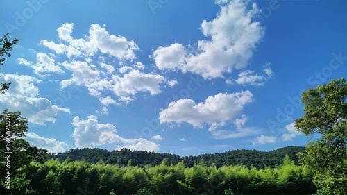 Animation video Green rural landscape with trees, fields, and blue sky with clouds.
