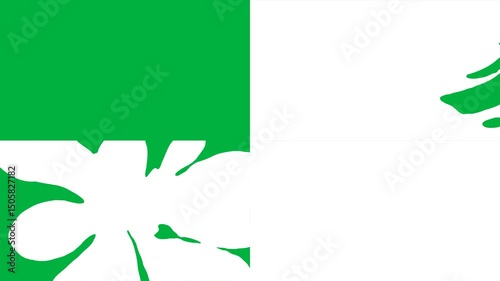 2d character, checker, splash, wave on green screen, chroma key, 4k animated cartoon. Splash and wave checker animation for creative transitions and video overlays.
