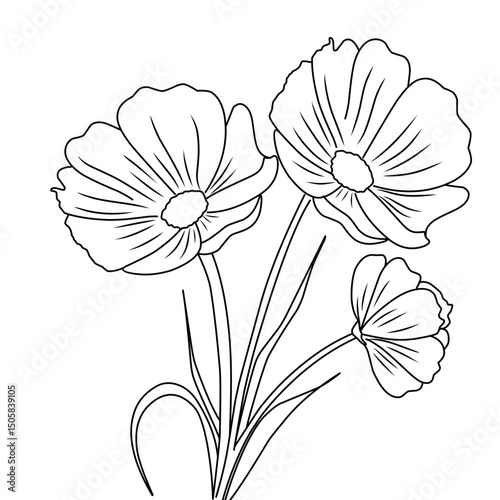 hand drawn flowers