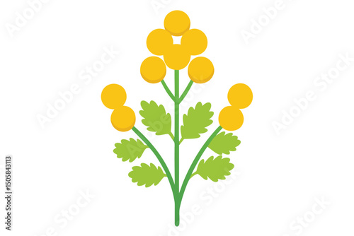 yellow flowers on white background