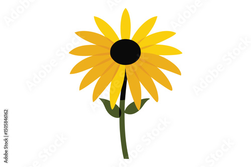 sunflower isolated on white
