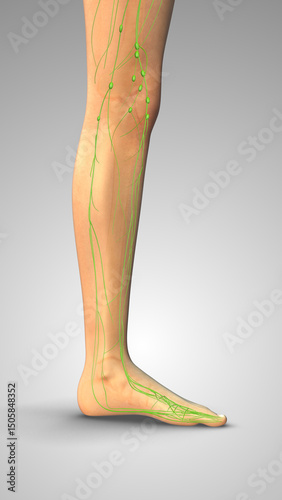 Excess Body Fluid Leading to Pitting Edema photo
