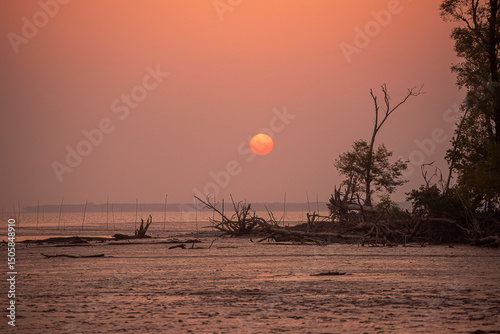 Sunset on the beach at Sundarban photo