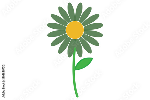yellow flower isolated on white