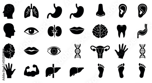 Human Body Parts and Organs Icon Set
