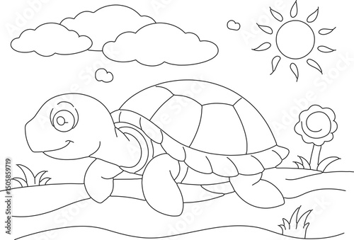 turtle in the grass