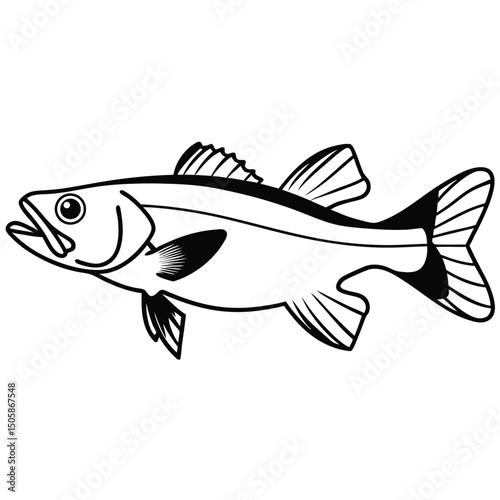 Bold Outline Snook Fish Vector Illustration in Black and White Design
